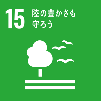 sdgs_目標13